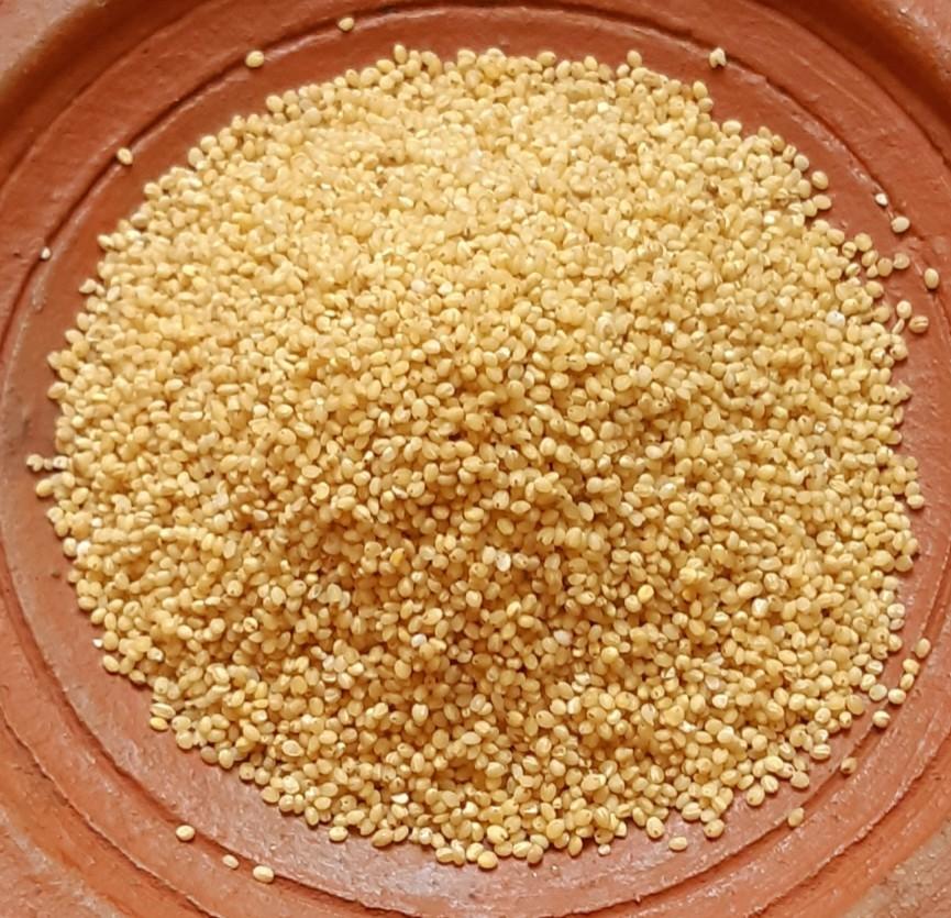 Foxtail Millet / தினை அரிசி - product media