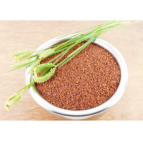 Finger Millet / கேப்பை - product media