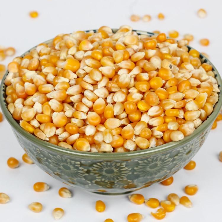 Popcorn Corn / பாப்கார்ன் சோளம் - product media