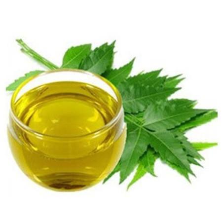 Neem Oil/ வேப்பெண்ணெய் - product media