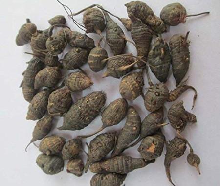 Nut Grass / கோரை கிழங்கு - product media