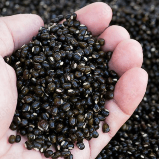 Black Urad Dal / கருப்பு உளுந்து - product media