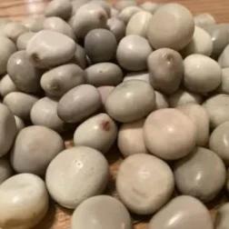 Kalarchikai / களர்ச்சிக்காய் - product media