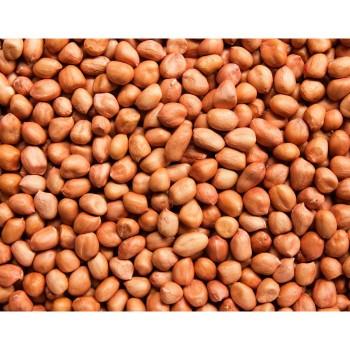 Raw Groundnut / பச்சை நிலக்கடலை - product media